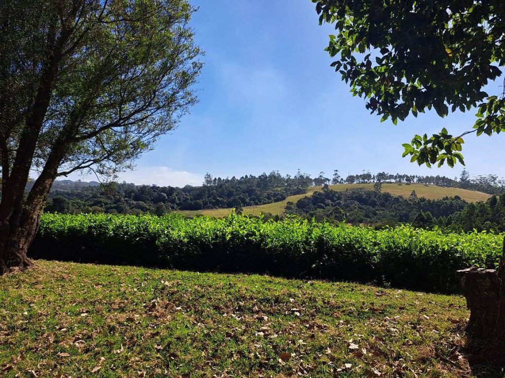 Pondoland - Beautiful nature